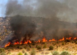 Σε ύφεση η πυρκαγιά στη Θάσο – Κάηκε πυκνό δάσος, καταγγελίες για εμπρησμό