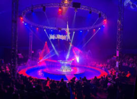 Στη Δράμα το Ιταλικό Circo Acquatico Bonaccini - Απο 28 Απριλίου έως 7 Μαΐου