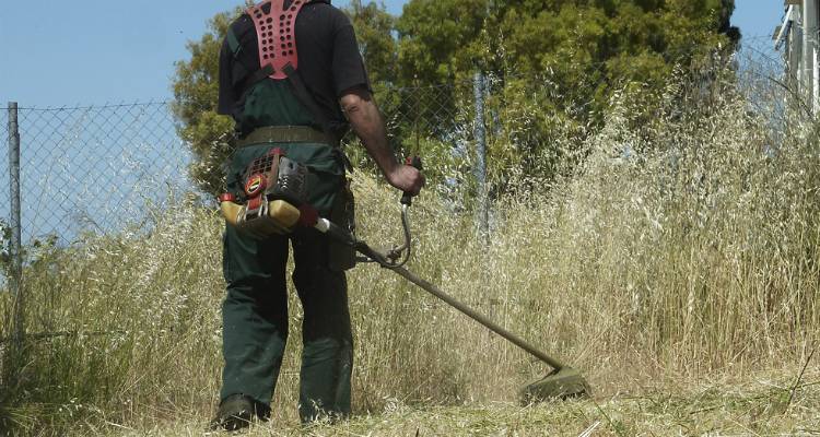 Καθαρισμός οικοπέδων: παράταση στην προθεσμία | Alpha-news.gr