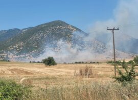 Φωτιά στην Αδριανή - Επί ποδός η Πυροσβεστική