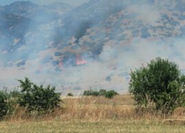 Υπό έλεγχο η φωτιά στην Αδριανή