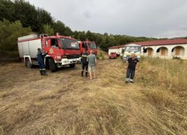 Πυρκαγιά στην Καλλίφυτο - Στη "μάχη" δύο αεροσκάφη και δύο ελικόπτερα