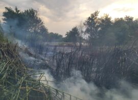 Δράμα: Πυρκαγιά στην περιοχή των Λαχανοκήπων – Τέθηκε υπό έλεγχο