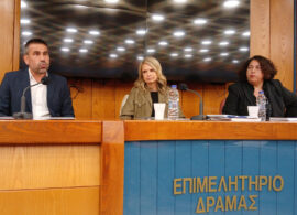 Στη Δράμα η βουλευτής του ΠΑΣΟΚ και πρώην υφυπουργός Μιλένα Αποστολάκη