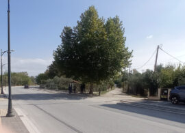 Δήμος Δράμας: η ΕΤΑΔ τροχοπέδη στη διευθέτηση του ζητήματος στην οδό Φιλίππου και τους Ρομά