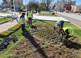 Δράμα – Ανάπλαση: Δεκάδες λουλούδια – απολύμανση και καθαρισμός σιντριβανιού