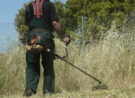 Δήμος Δοξάτου: Προσλήψεις 16 εργατών γενικών καθηκόντων – Σήμερα Τετάρτη και αύριο Πέμπτη, οι αιτήσεις