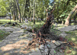 Δράμα: Μεγάλες ζημιές απο το μπουρίνι - Απαγορεύεται η διέλευση στον Δημοτικό Κήπο