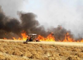 Πυροσβεστική Υπηρεσία Δράμας: Εκκληση προς τους αγρότες για συμμετοχή τους στον σχεδιασμό για την αντιμετώπιση πυρκαγιών